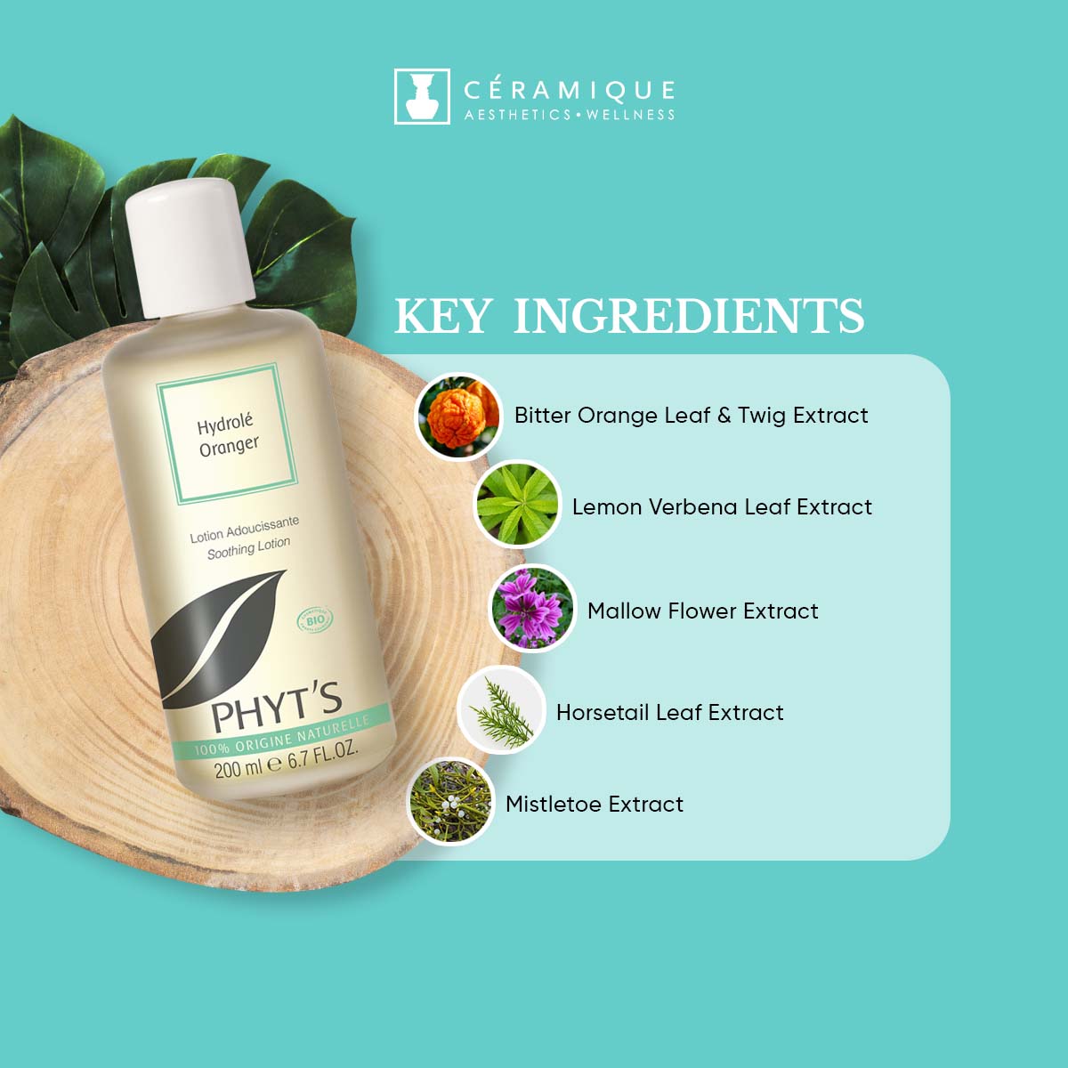 Phyt's Bitter Orange Softening Toner (Hydrolé Oranger) | Natural | Organic