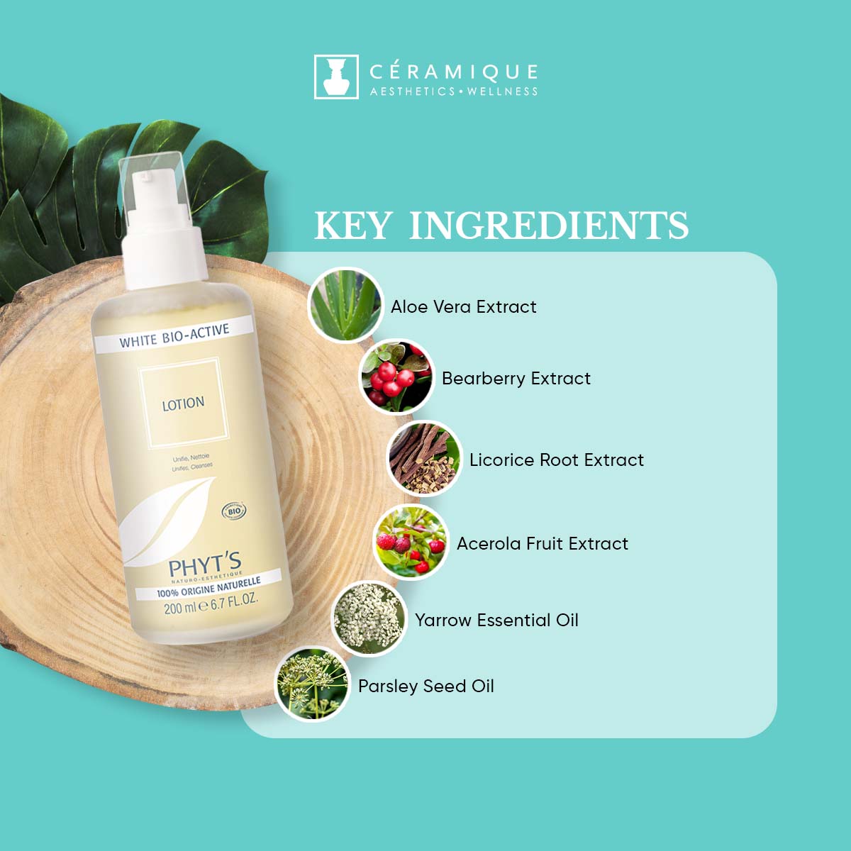 Phyt's Brightening Cleansing Lotion (White Bio-Active Lotion) | Natural | Organic