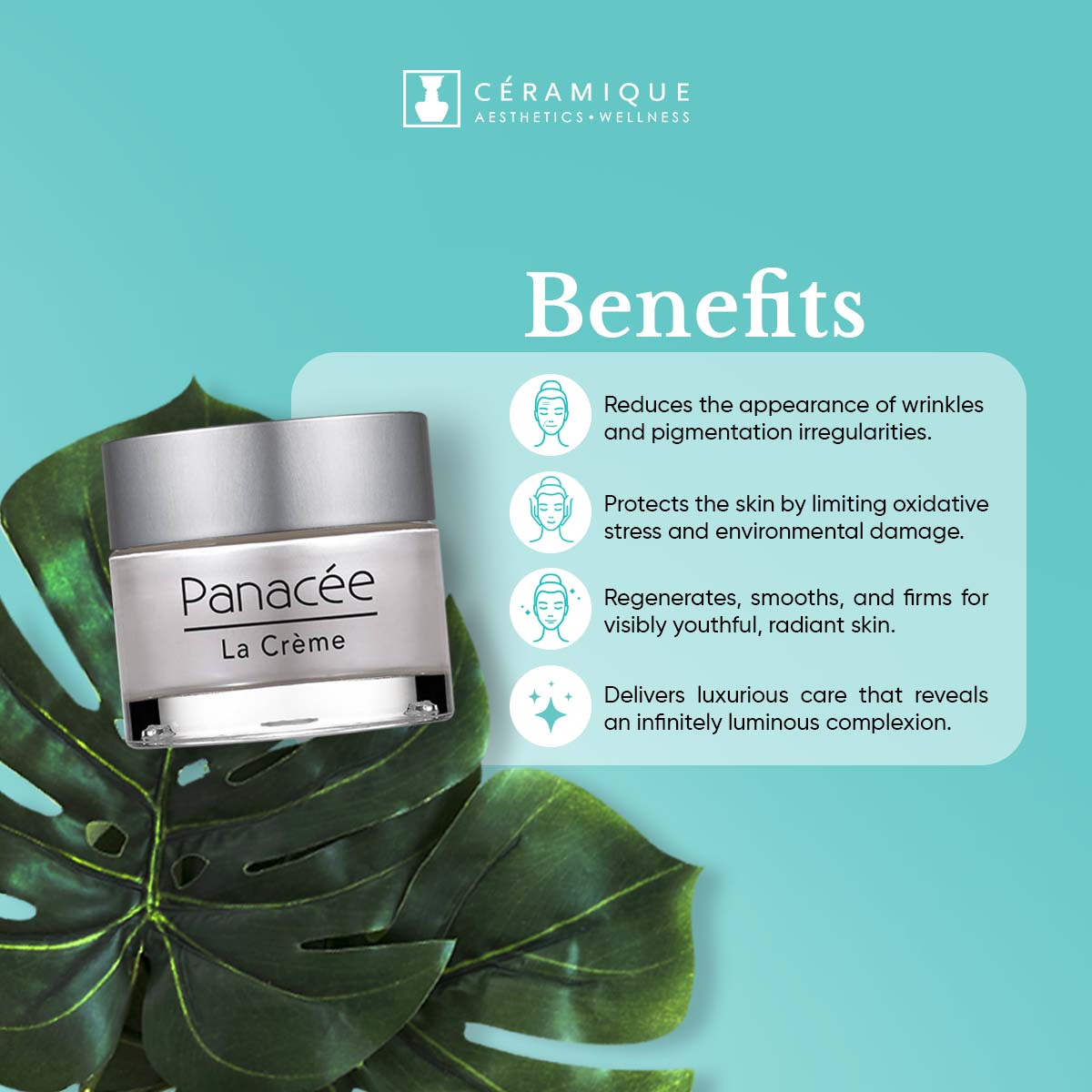 Phyt's Exceptional Global Anti-Aging Cream (Panacée – La Crème) | Natural | Organic