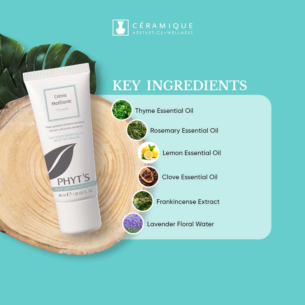 Phyt's Purity Mattifying Cream (Crème Matifiante Pureté) | Natural | Organic