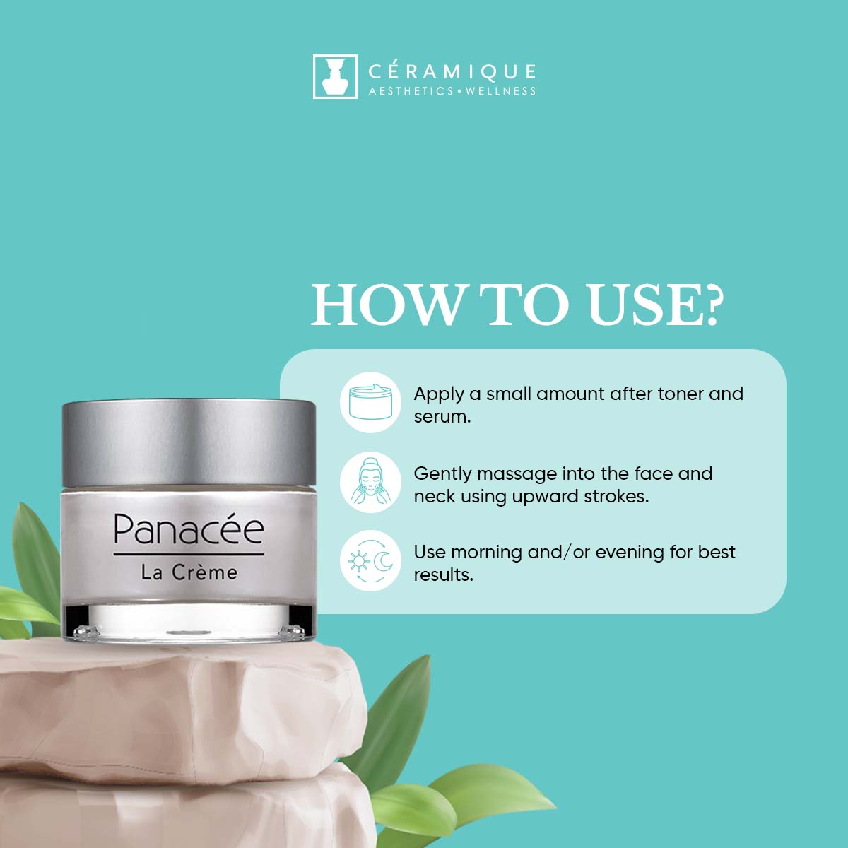 Phyt's Exceptional Global Anti-Aging Cream (Panacée – La Crème) | Natural | Organic