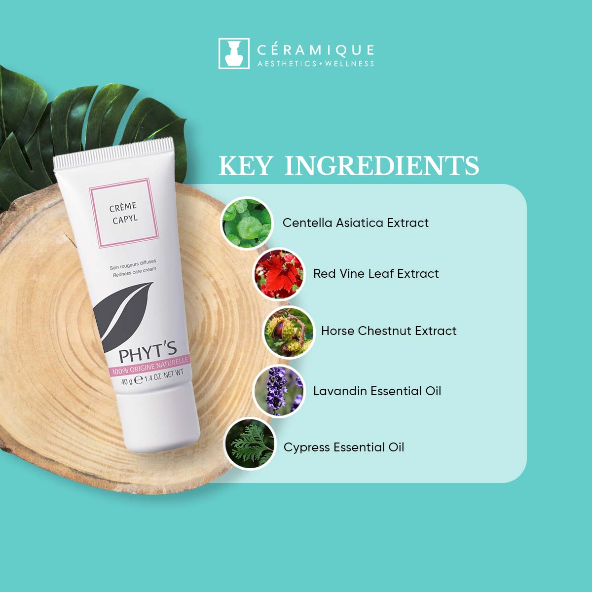 Phyt's Redness Reducing Cream (Crème Capyl) | Natural | Organic