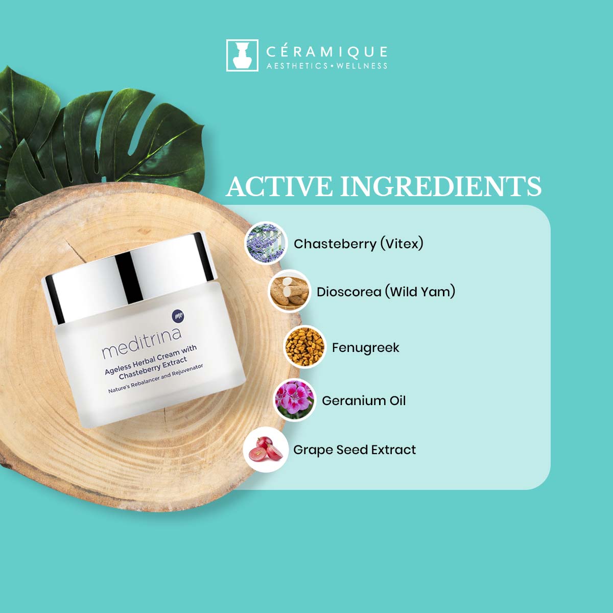 Meditrina Ageless Herbal Cream | Natural | Organic
