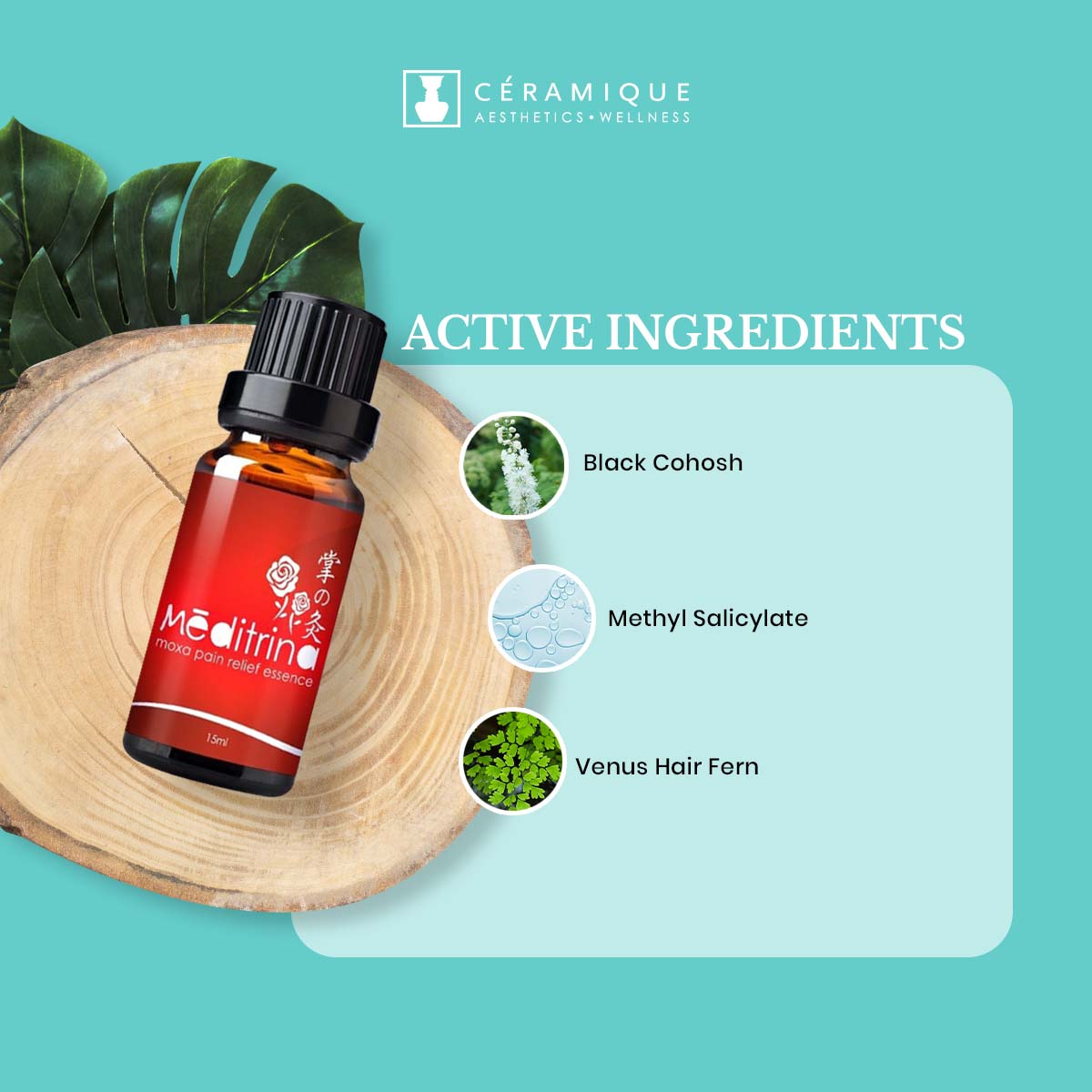 Meditrina Moxa Pain Relief Essence | Natural | Organic