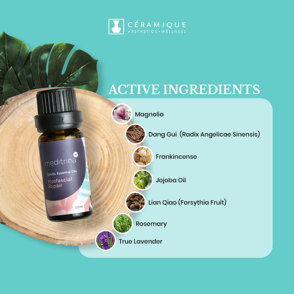 Meditrina QiActiv® TCM Essential Oils | Myofascial Repair | Natural | Organic