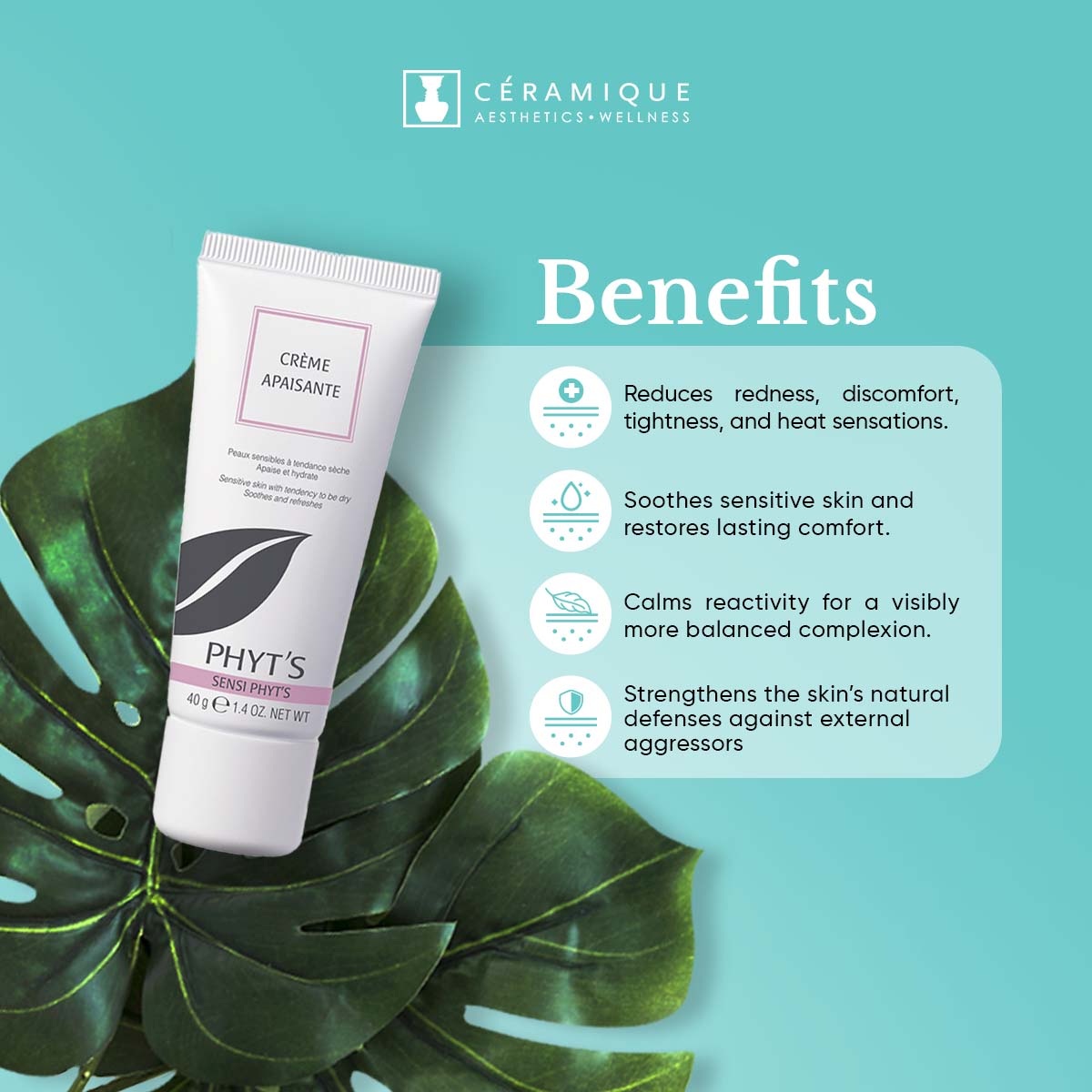 Phyt's Soothing Facial Cream for Sensitive Skin (Sensi Phyt's – Crème Apaisante) | Natural | Organic