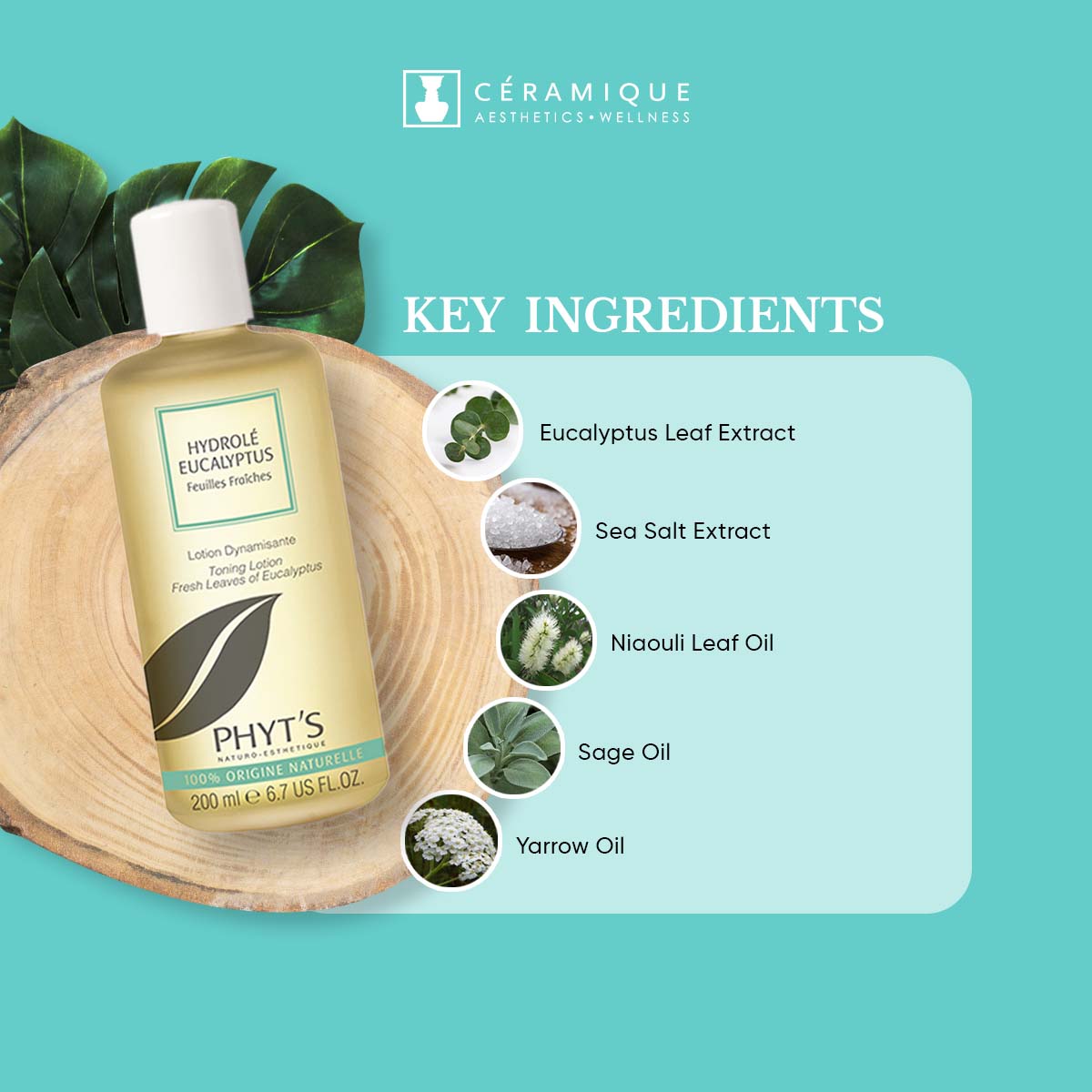 Phyt's Eucalyptus Purifying Toner (Hydrolé Eucalyptus) | Natural | Organic