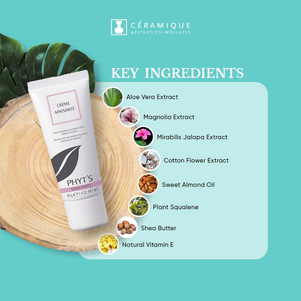 Phyt's Soothing Facial Cream for Sensitive Skin (Sensi Phyt's – Crème Apaisante) | Natural | Organic