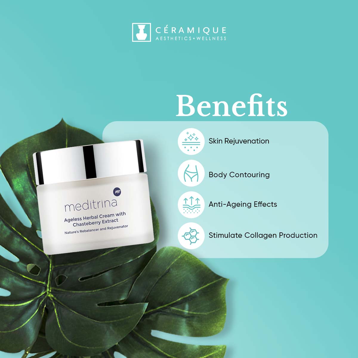 Meditrina Ageless Herbal Cream | Natural | Organic – Ceramique